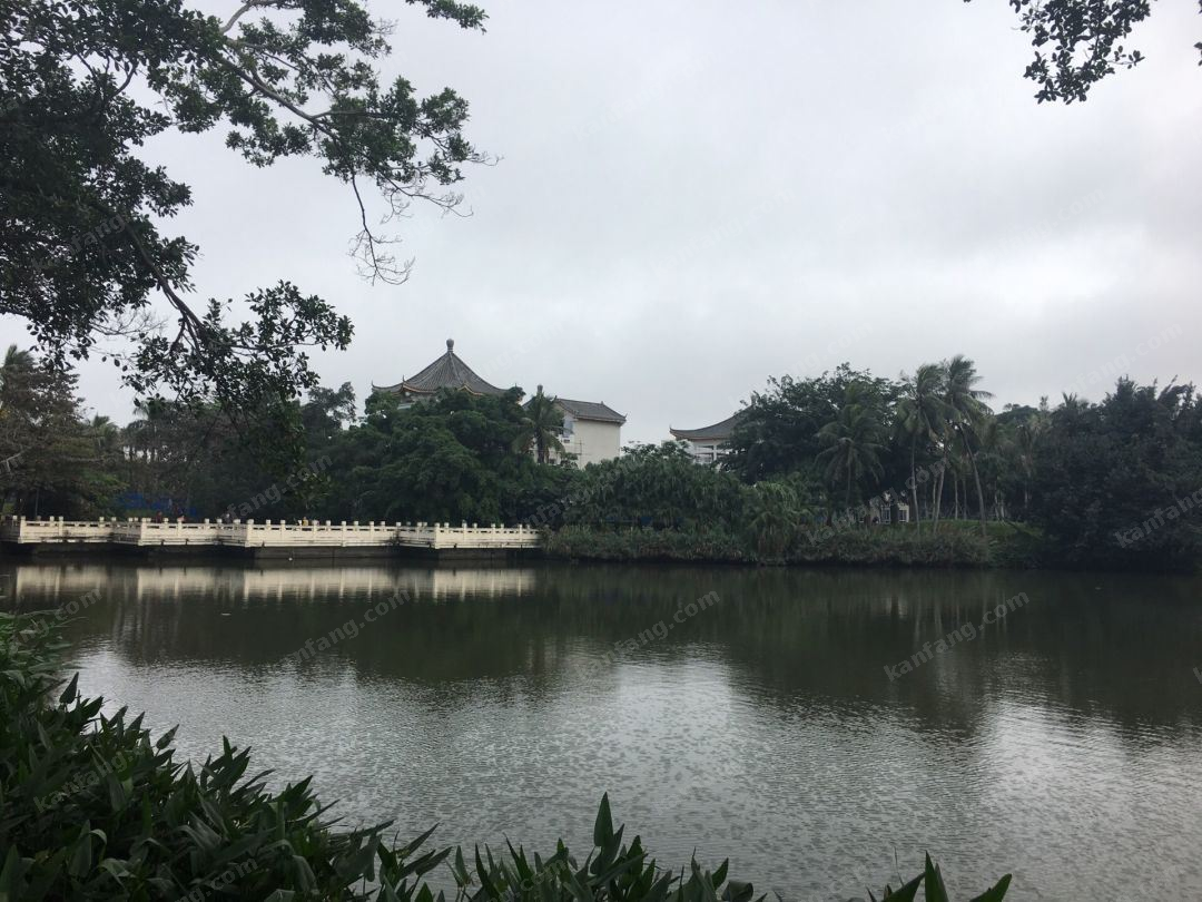 熱門市民公園,園內東,西湖景色優美,湖畔椰林環繞,湖心島上樓閣金碧